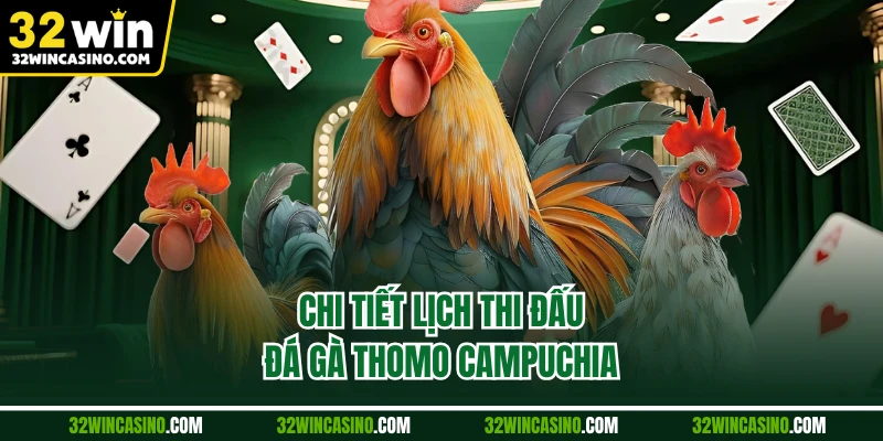 Chi tiết lịch thi đấu đá gà Thomo Campuchia