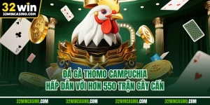 Đá Gà Thomo Campuchia - Hấp Dẫn Với Hơn 550 Trận Gây Cấn