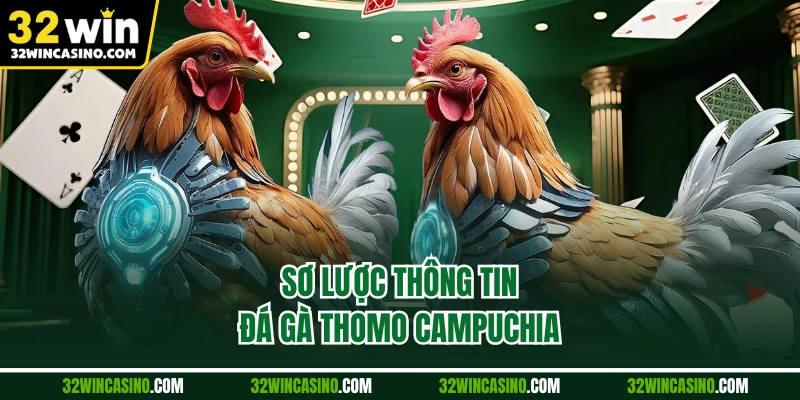Sơ lược thông tin đá gà Thomo Campuchia