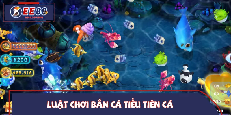 Người chơi nên hiểu rõ quy luật trước khi bắn cá tiểu tiên cá